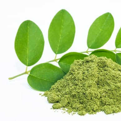 Premium Moroccan Moringa   50 gram